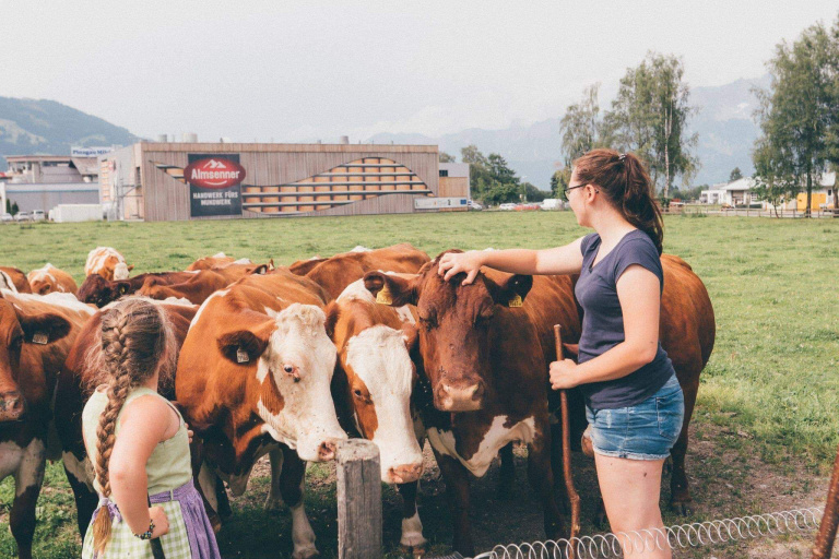 Дети и женщина гладят коров на зеленом пастбище во время семейного отдыха на ферме Schloss Saalhof